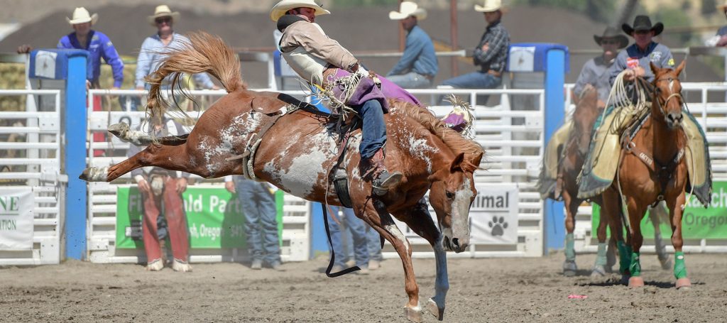 Lake County Roundup