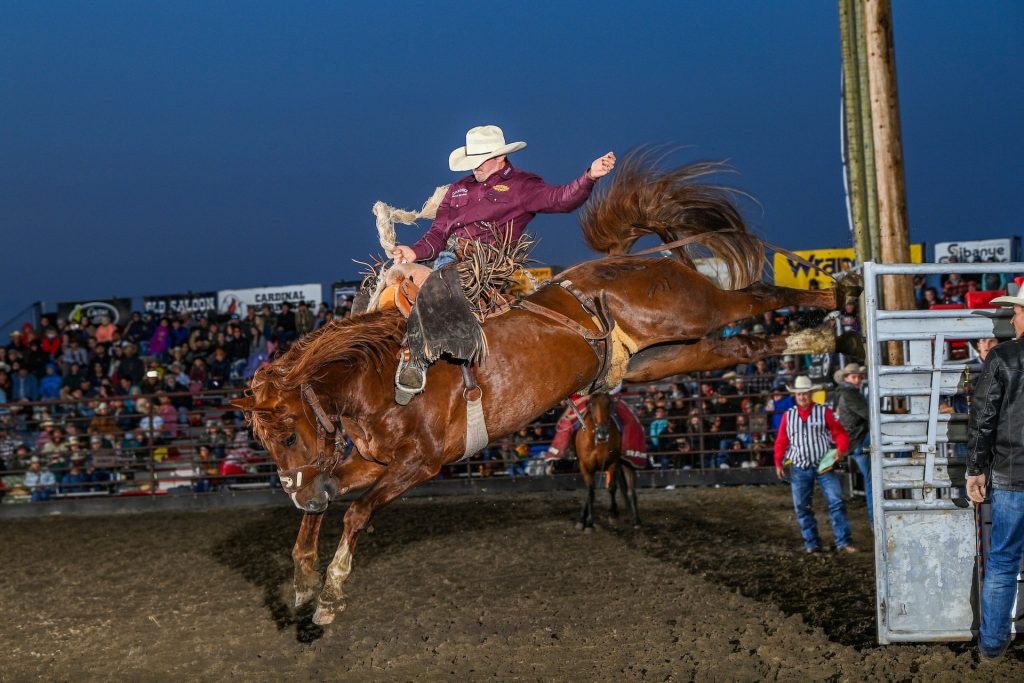 Livingston Roundup Rodeo